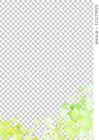 A refreshing and transparent frame of fresh greenery 113279029