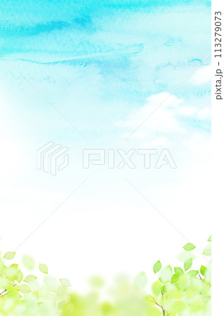 さわやかな青空と新緑のフレーム 113279073