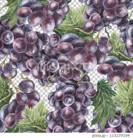 Purple blue grapes, watercolor, seamless pattern. Hand drawn. For kitchen textile, fabric, packaging, wallpaper. Food illustration 113279194