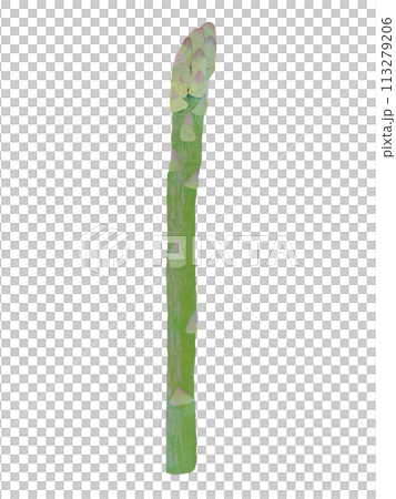 1 asparagus 113279206
