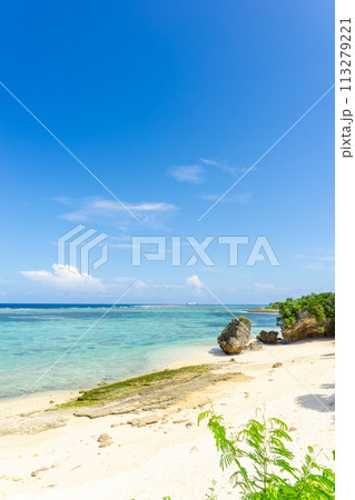 【沖縄県】夏のよく晴れた青空と南国の海 113279221
