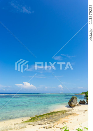 【沖縄県】夏のよく晴れた青空と南国の海 113279222