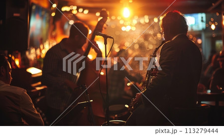 Musician on stage on bar paying musical instruments, performing live on stage with warm lighting in dark relaxing pub atmosphere. 113279444