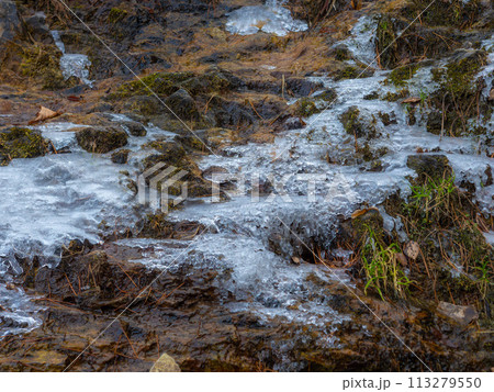 凍りついた湧き水のハーフマクロ 113279550