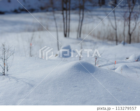 ふわふわ雪溜まり ふわふわ雪溜まり 113279557