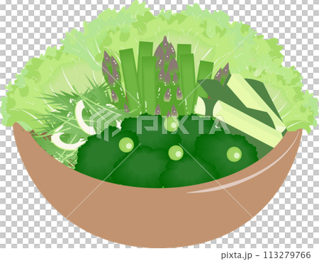 一碗蔬菜沙拉 一碗蔬菜沙拉 113279766