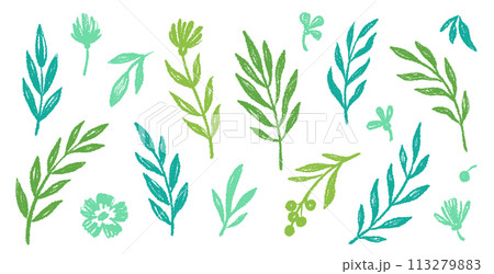Leaf brush hand drawn ink elements. Green crayon texture brush abstract olive, flower, leaf abstract hand drawn illustration. Brush branch, botanical floral silhouette vector 113279883