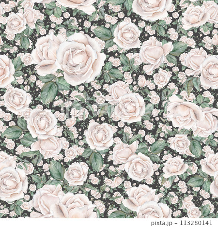 Light pink roses seamless pattern. Light cream roses arrangement. collection garden flowers and leaves. watercolor hand painting illustration on isolate background. For wedding invitations Light pink roses seamless pattern. Light cream roses arrangement. collection garden flowers and leaves. watercolor hand painting illustration on isolate background. For wedding invitations 113280141