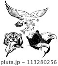 Bear and eagle hunting fish 113280256