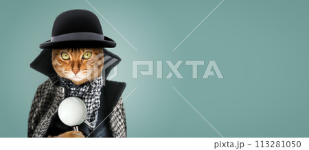 A cat with a magnifying glass dressed as a detective or sleuth. 113281050