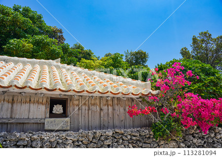 沖縄　竹富島の赤瓦屋根とシーサー 113281094