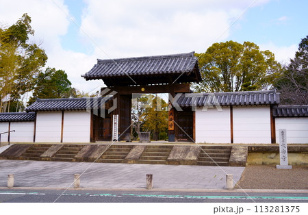 大安寺南門(奈良県奈良市) 大安寺南門(奈良県奈良市) 113281375