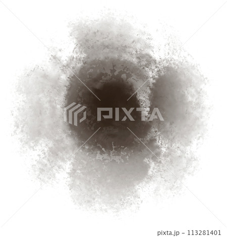 Brush  113281401