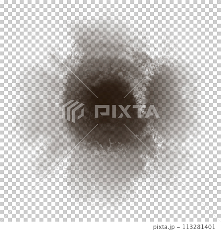 Brush  113281401