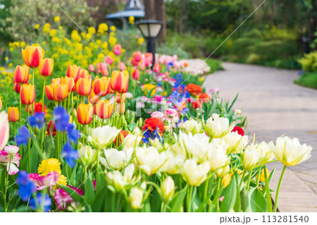 春の久屋大通庭園フラリエ、満開の花々〈愛知県名古屋市〉 113281540