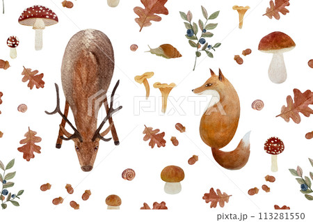 Autumn forest stag and fox watercolor seamless pattern isolated on white. 113281550