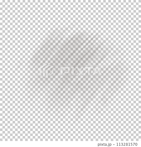 Brush  113281570