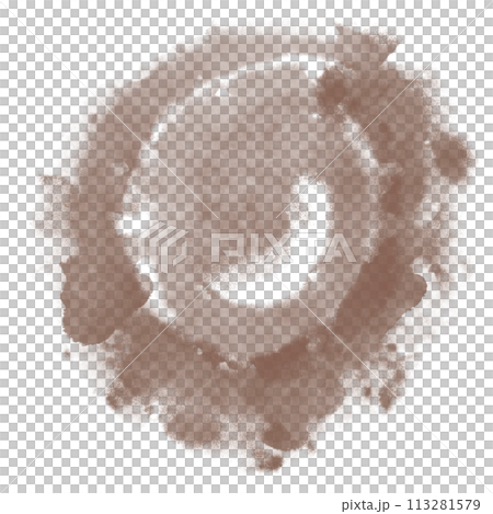 Brush  113281579