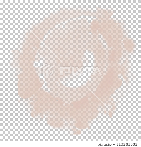 Brush Brush 113281582