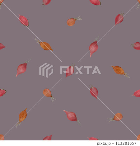 Rose-hip watercolor seamless pattern on muted purple 113281657