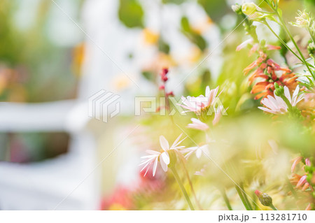 春の久屋大通庭園フラリエ、満開の花々〈愛知県名古屋市〉 113281710