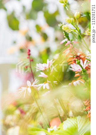 春の久屋大通庭園フラリエ、満開の花々〈愛知県名古屋市〉 113281711