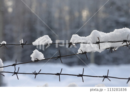 Barbed wire on the fence against light background in the winter cloudy day. Barbed wire on the fence against light background in the winter cloudy day. 113281836