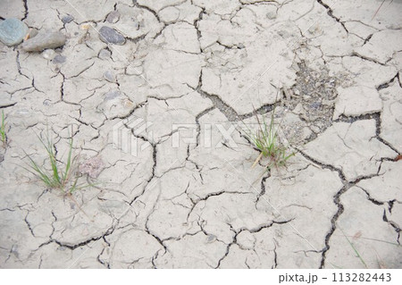 ひび割れた地面 113282443