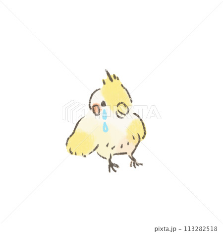 泣いてるオカメインコのかわいいイラスト 113282518