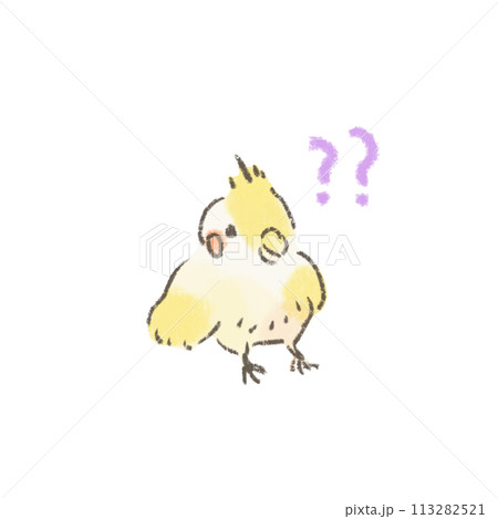 かわいいオカメインコのイラスト はてな かわいいオカメインコのイラスト はてな 113282521