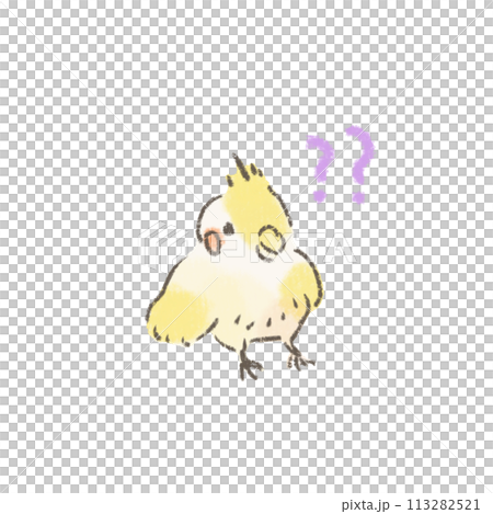 かわいいオカメインコのイラスト はてな かわいいオカメインコのイラスト はてな 113282521