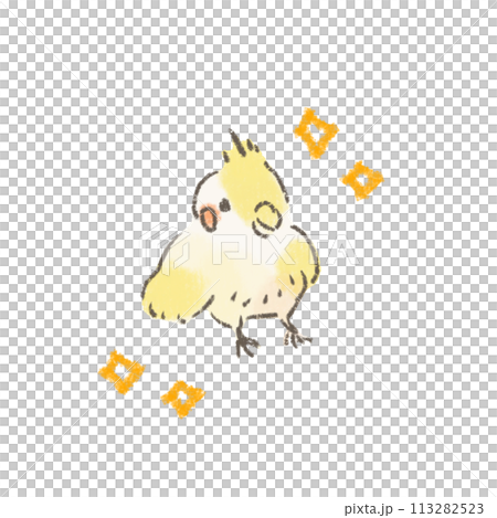 閃閃發光的可愛玄鳳鸚鵡插圖 閃閃發光的可愛玄鳳鸚鵡插圖 113282523