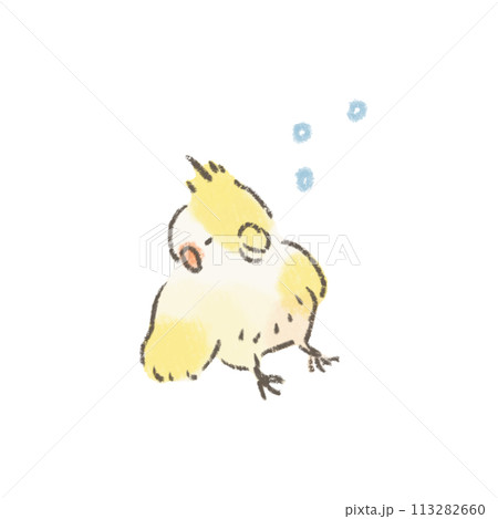 うとうとするオカメインコのかわいいイラスト うとうとするオカメインコのかわいいイラスト 113282660