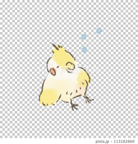 うとうとするオカメインコのかわいいイラスト うとうとするオカメインコのかわいいイラスト 113282660