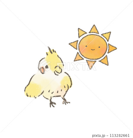 かわいい太陽とオカメインコのイラスト 113282661