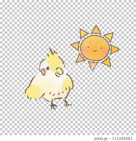 かわいい太陽とオカメインコのイラスト 113282661