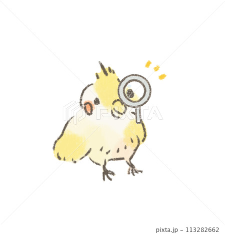 虫眼鏡を使うオカメインコのイラスト 虫眼鏡を使うオカメインコのイラスト 113282662