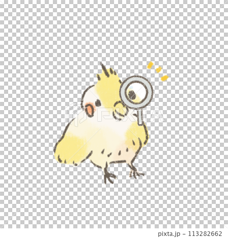 虫眼鏡を使うオカメインコのイラスト 虫眼鏡を使うオカメインコのイラスト 113282662