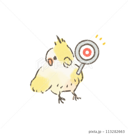 正解マークの虫眼鏡を持ったオカメインコのかわいいイラスト 113282663