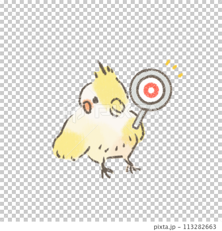 正解マークの虫眼鏡を持ったオカメインコのかわいいイラスト 113282663