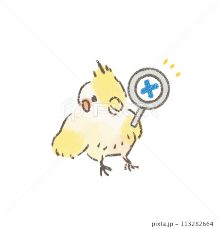 不正解の虫眼鏡を持ったオカメインコのイラスト 不正解の虫眼鏡を持ったオカメインコのイラスト 113282664