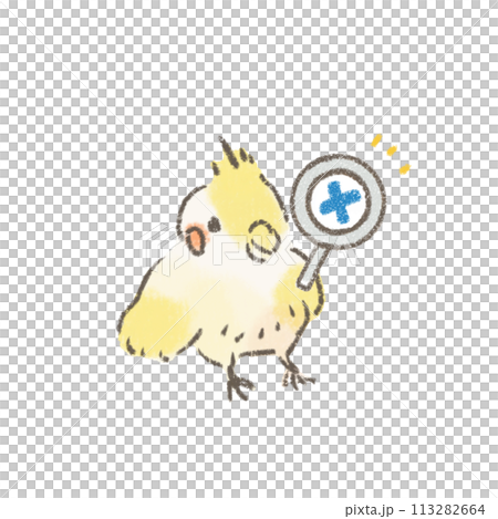 玄鳳鸚鵡拿著放大鏡並給出錯誤答案的插圖 玄鳳鸚鵡拿著放大鏡並給出錯誤答案的插圖 113282664