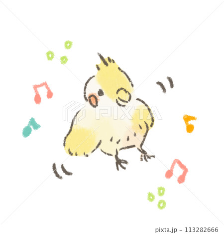踊るオカメインコのかわいいイラスト 踊るオカメインコのかわいいイラスト 113282666