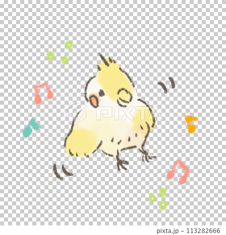 踊るオカメインコのかわいいイラスト 踊るオカメインコのかわいいイラスト 113282666