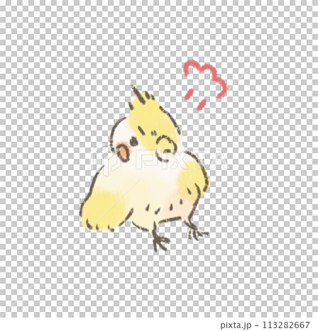憤怒的玄鳳鸚鵡的可愛插圖 憤怒的玄鳳鸚鵡的可愛插圖 113282667