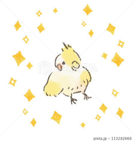 輝くオカメインコのかわいいイラスト 113282668