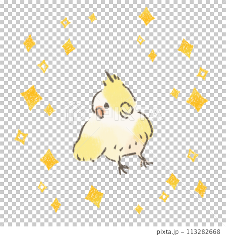 輝くオカメインコのかわいいイラスト 113282668