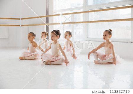 Little, charming girls, ballerinas in pink tutus warming up legs before training at modern dance studio. Classical ballet school. Little, charming girls, ballerinas in pink tutus warming up legs before training at modern dance studio. Classical ballet school. 113282719
