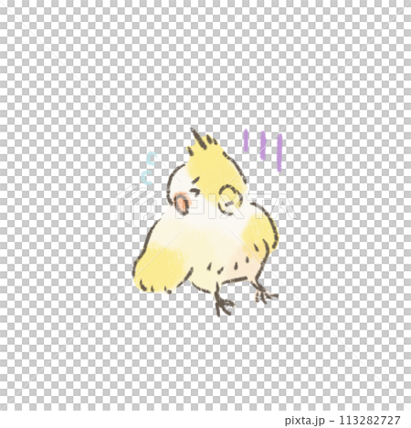 失望的玄鳳鸚鵡的可愛插圖 失望的玄鳳鸚鵡的可愛插圖 113282727
