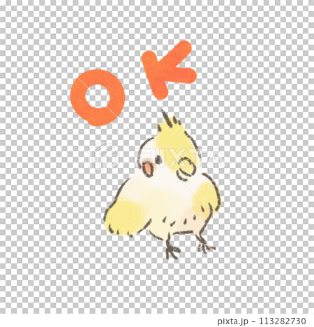 帶有 OK 標記的玄鳳鸚鵡插圖 帶有 OK 標記的玄鳳鸚鵡插圖 113282730